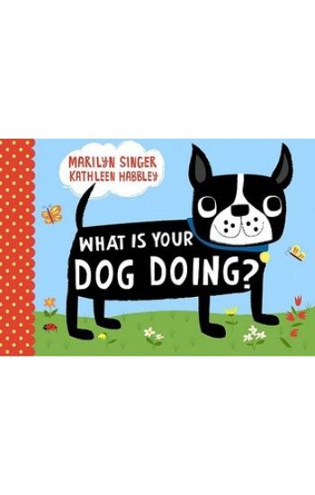 What Is Your Dog Doing?