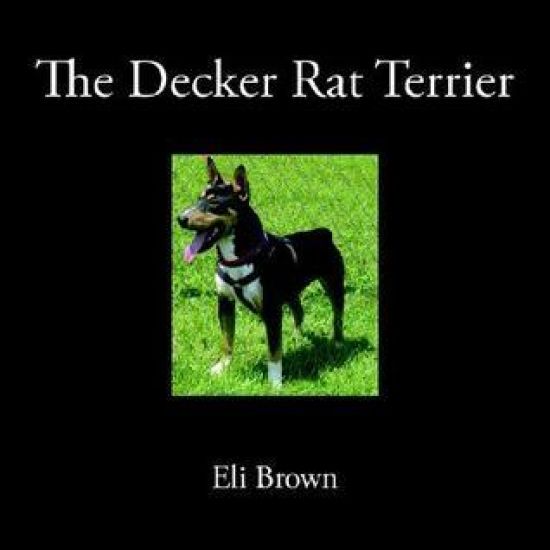 The Decker Rat Terrier
