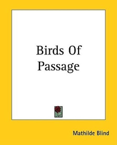 Birds Of Passage