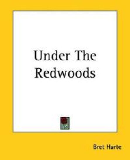 Under The Redwoods