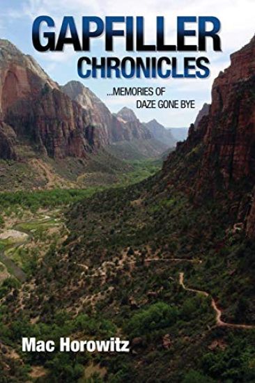 Gapfiller Chronicles: Memories of Daze Gone Bye