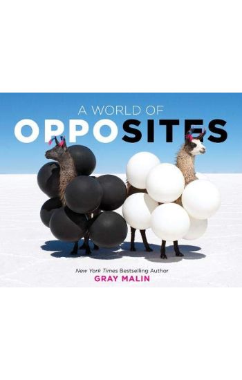 A World of Opposites