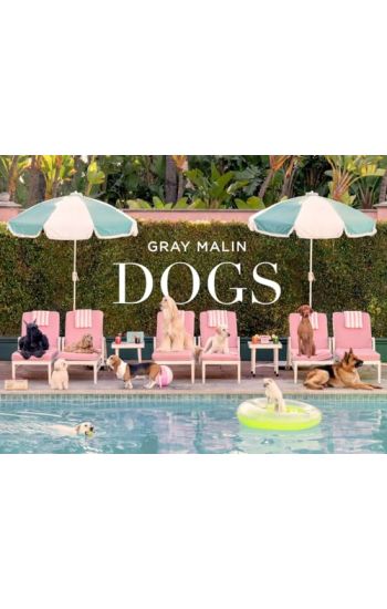 Gray Malin: Dogs