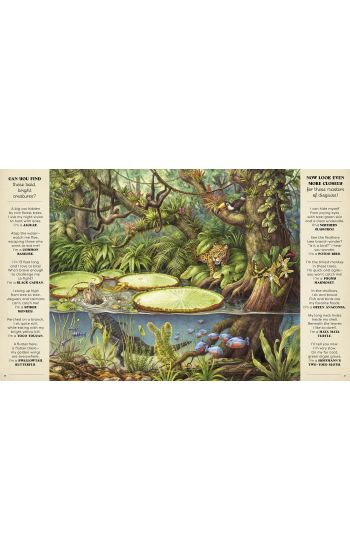 Picture Puzzler: A Natural History Hide-And-Seek