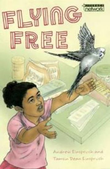 Literacy Network Middle Primary Mid Topic6:Flying Free