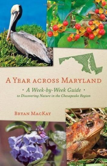 A Year across Maryland
