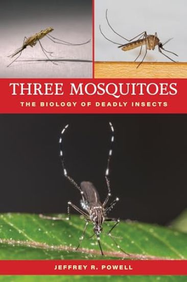 Three Mosquitoes