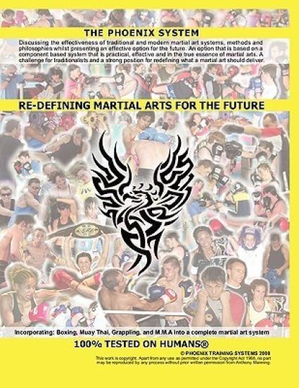 Re-defining Martial Arts for the Future