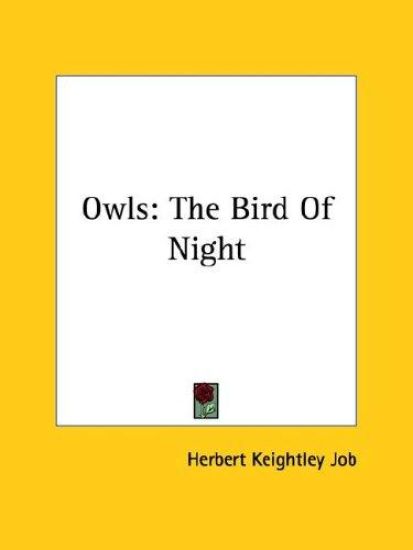 Owls
