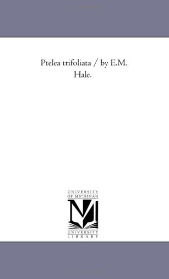 Ptelea trifoliata / by E.M. Hale.