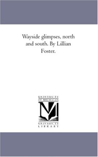 Way-Side Glimpses, North and South. by Lillian Foster.