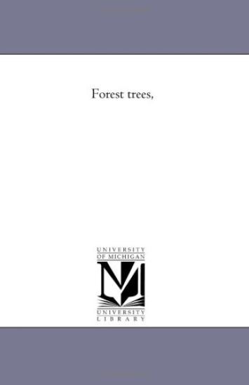 Forest Trees,