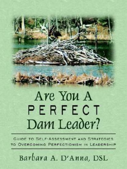 Are You A Perfect Dam Leader?