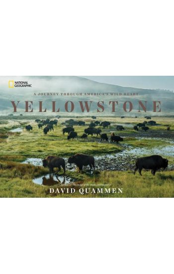 Yellowstone