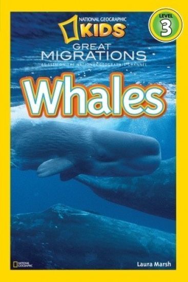 Whales