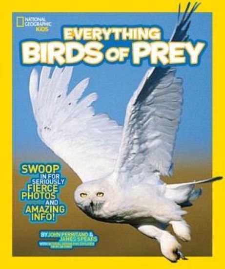 Everything Birds of Prey