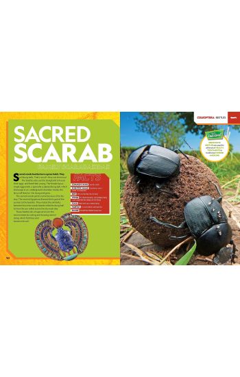 Ultimate Bugopedia, 2nd Edition