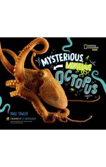 Mysterious, Marvelous Octopus!