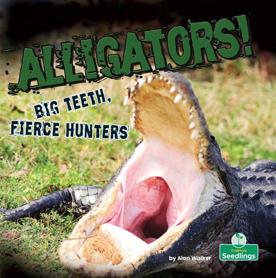 Alligators! Big Teeth, Fierce Hunters