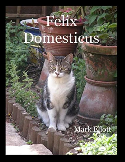 Felix Domesticus