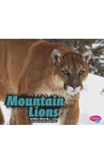 Mountain Lions