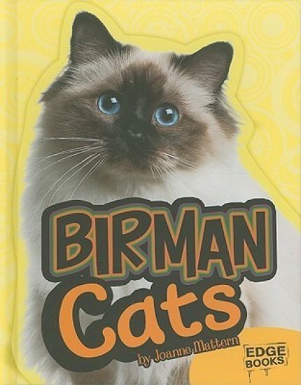 Birman Cats