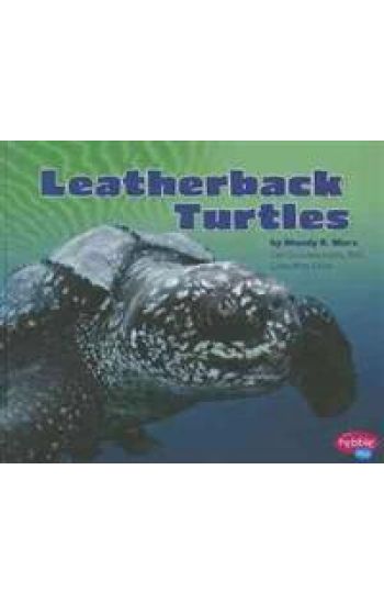 Leatherback Turtles
