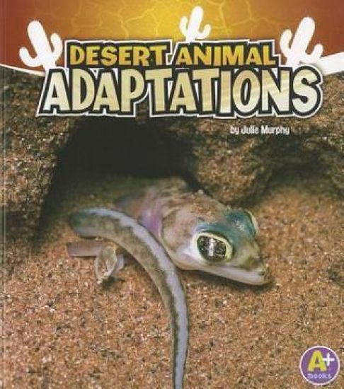 Amazing Animal Adaptations Desert Animal Adaptations