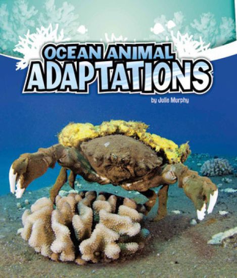Amazing Animal Adaptations Ocean Animal Adaptations