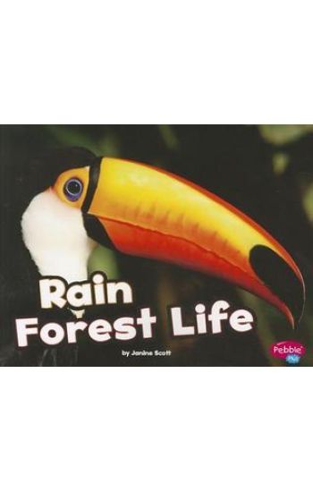 Rain Forest Life