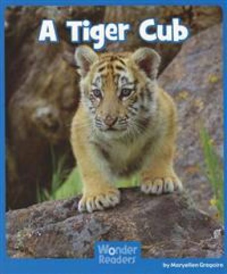 A Tiger Cub