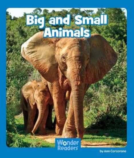 Big and Small Animals