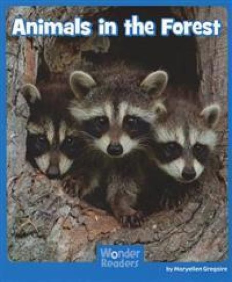 Animals in the Forest