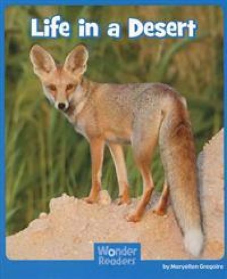 Life in a Desert