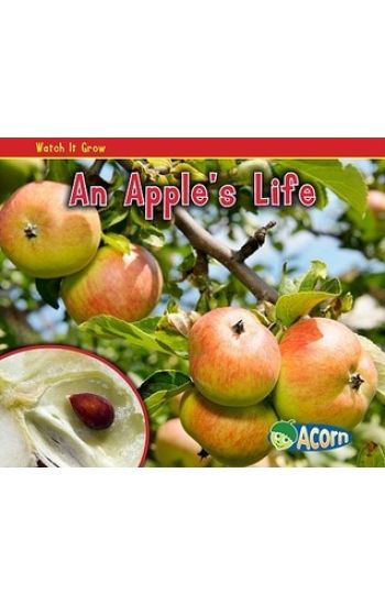An Apple's Life