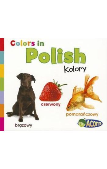 Colors in Polish: Kolory