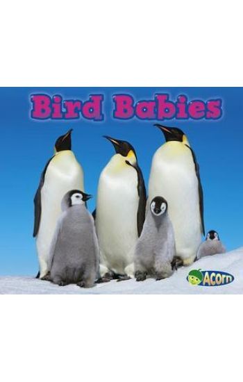 Bird Babies