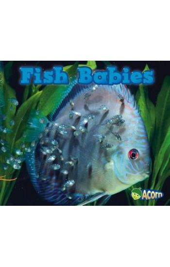 Fish Babies