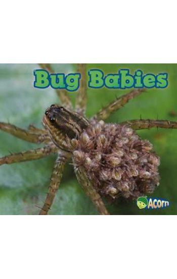 Bug Babies