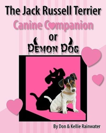 The Jack Russell Terrier Canine Companion Or Demon Dog
