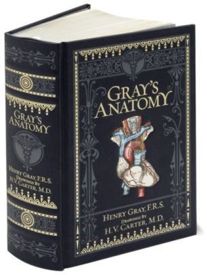 Gray's Anatomy (BarnesNoble Collectible Editions)