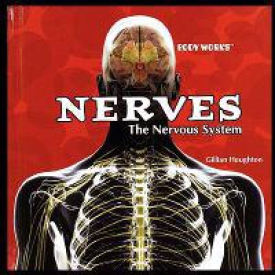Nerves: The Nervous System