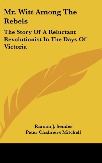 Mr. Witt Among the Rebels