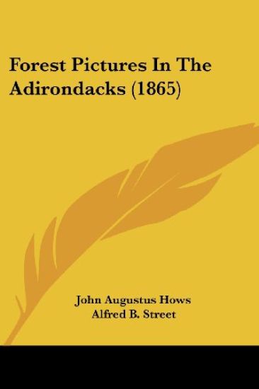 Forest Pictures In The Adirondacks (1865)
