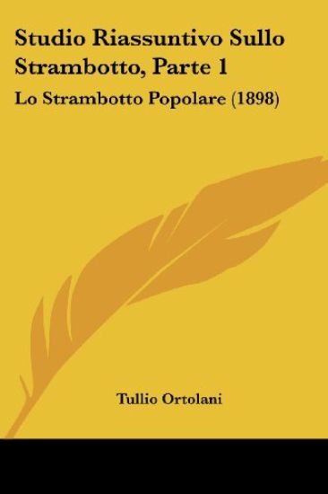 Studio Riassuntivo Sullo Strambotto