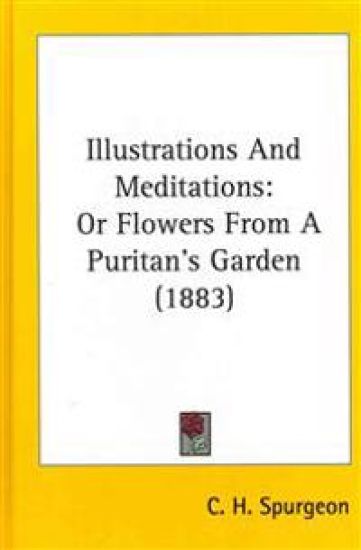 Illustrations and Meditations