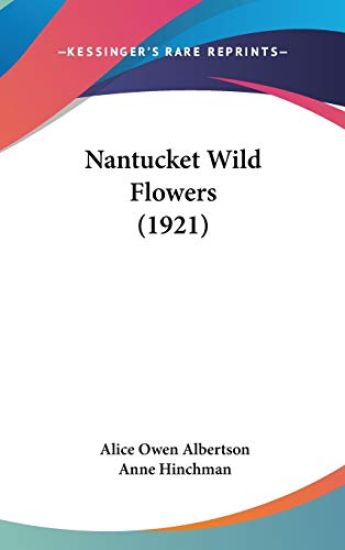 Nantucket Wild Flowers