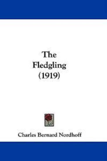 The Fledgling (1919)