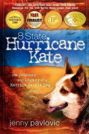 8 State Hurricane Kate: The Journey And Legacy Of A Katrina Cattle Dog