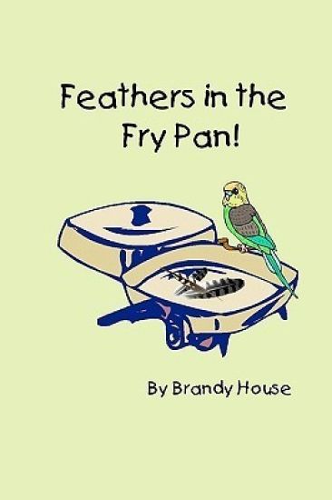 Feathers In The Fry Pan